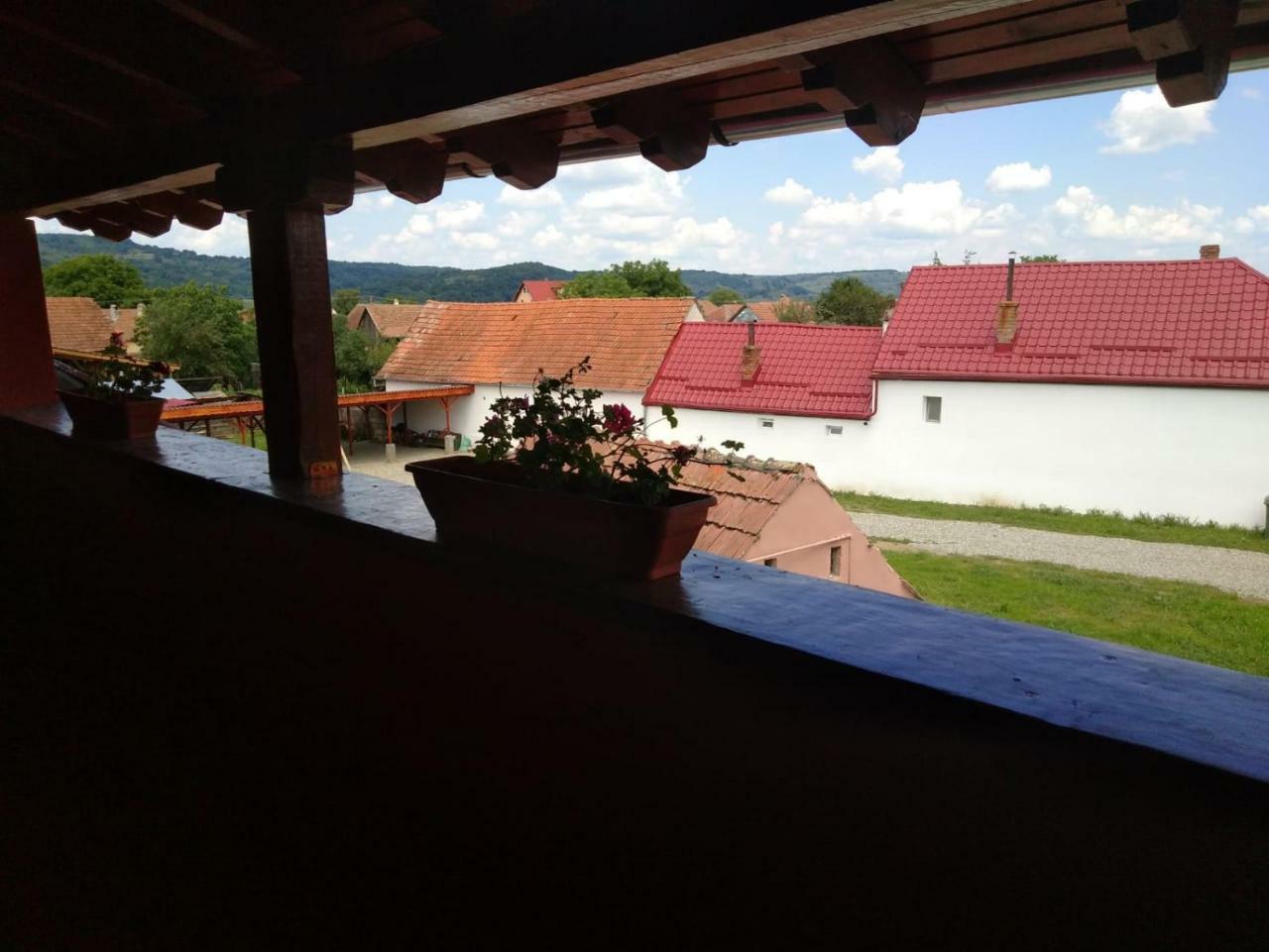 Casa Suzy & Roxy Apartment Arpasu de Jos Екстериор снимка