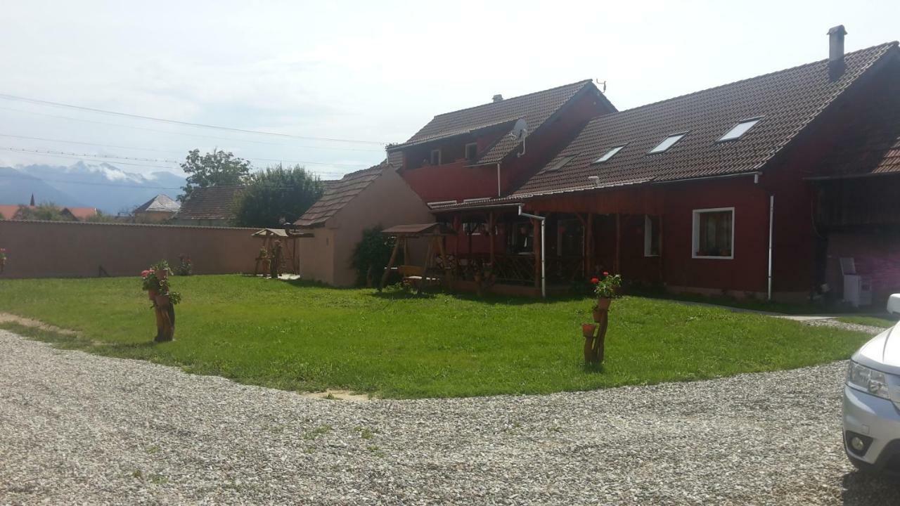 Casa Suzy & Roxy Apartment Arpasu de Jos Екстериор снимка