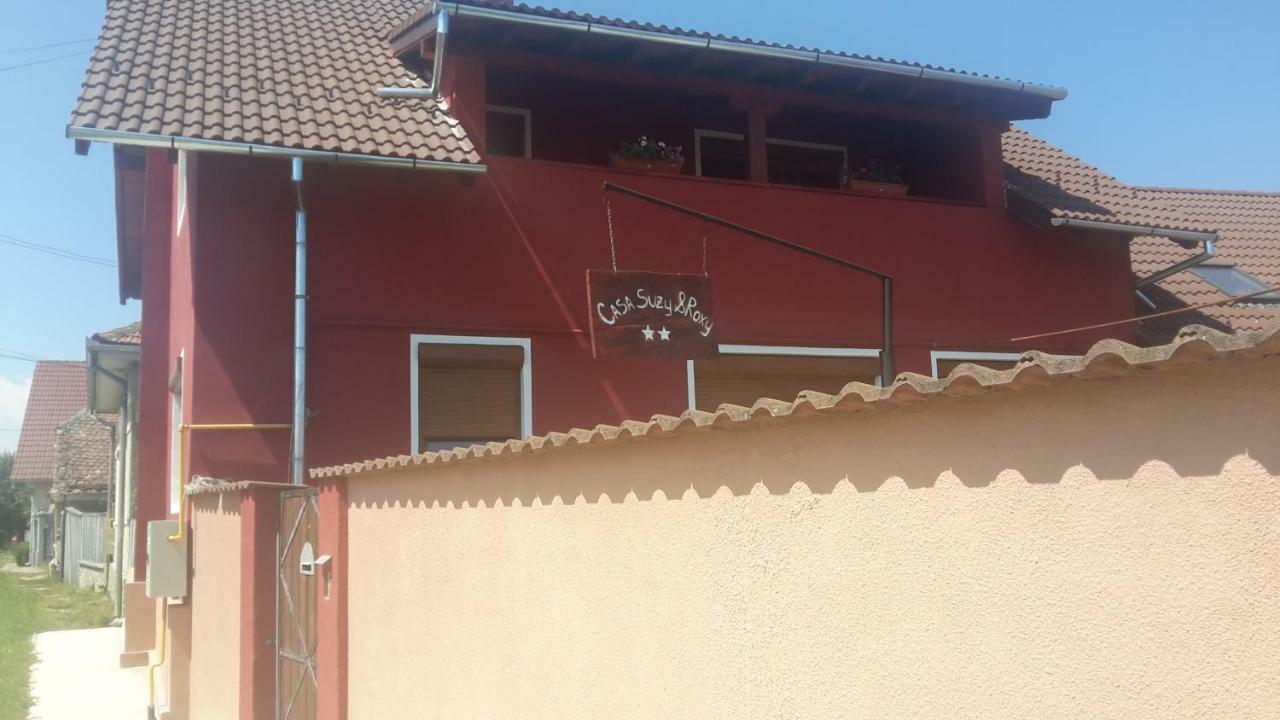 Casa Suzy & Roxy Apartment Arpasu de Jos Екстериор снимка