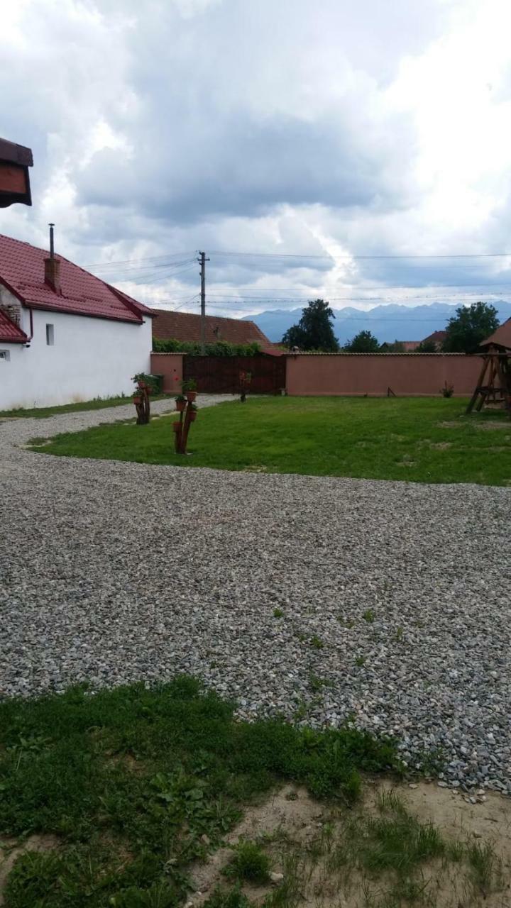 Casa Suzy & Roxy Apartment Arpasu de Jos Екстериор снимка