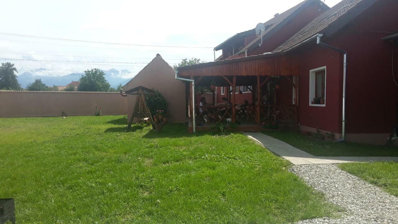 Casa Suzy & Roxy Apartment Arpasu de Jos Екстериор снимка