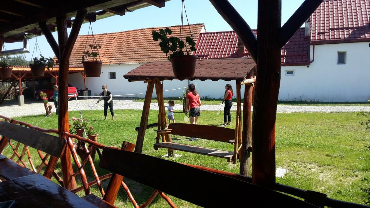 Casa Suzy & Roxy Apartment Arpasu de Jos Екстериор снимка