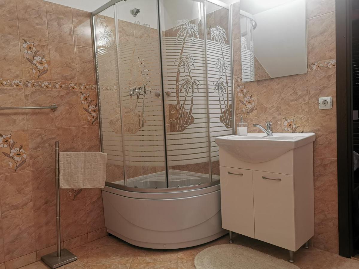 Casa Suzy & Roxy Apartment Arpasu de Jos Екстериор снимка