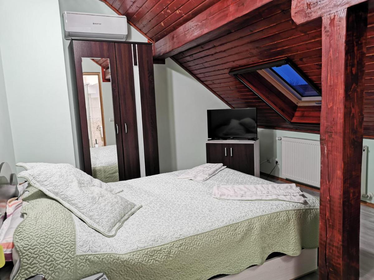 Casa Suzy & Roxy Apartment Arpasu de Jos Екстериор снимка