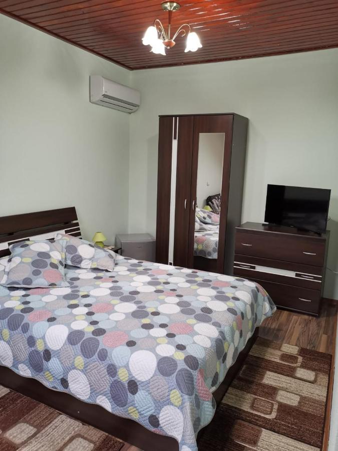 Casa Suzy & Roxy Apartment Arpasu de Jos Екстериор снимка